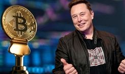 مرد ۵۰۰ میلیارد دلاری

