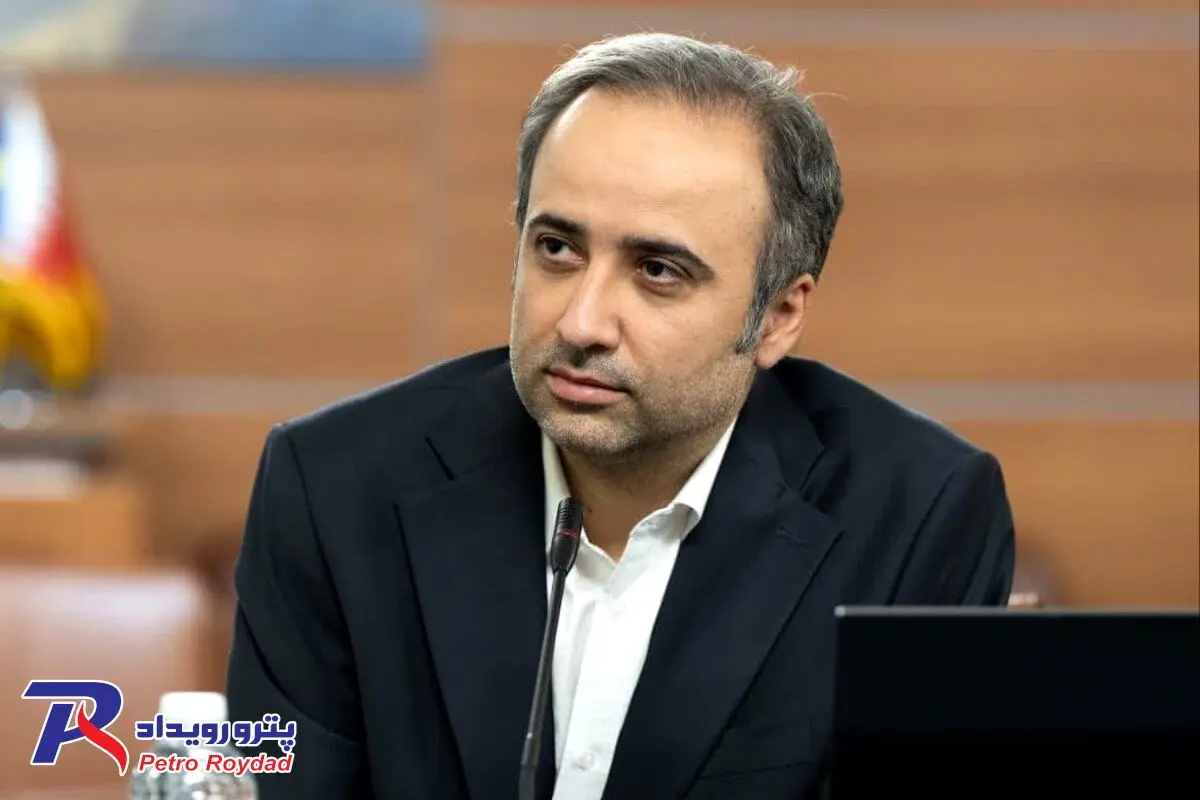 توسعه پایدار با ساخت پالایشگاه، کارخانه و جذب سرمایه محقق نمی‌شود

