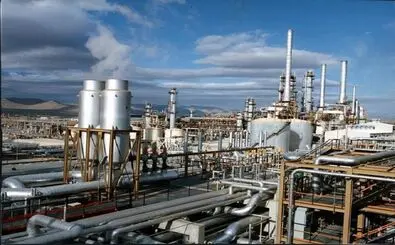 فرآورده فروشی؛ قرارگرفتن در آغاز زنجیره ارزش

