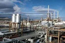 فرآورده فروشی؛ قرارگرفتن در آغاز زنجیره ارزش

