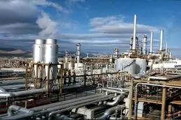 فرآورده فروشی؛ قرارگرفتن در آغاز زنجیره ارزش

